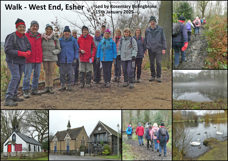 Walk - Esher West End - 15th January 2025